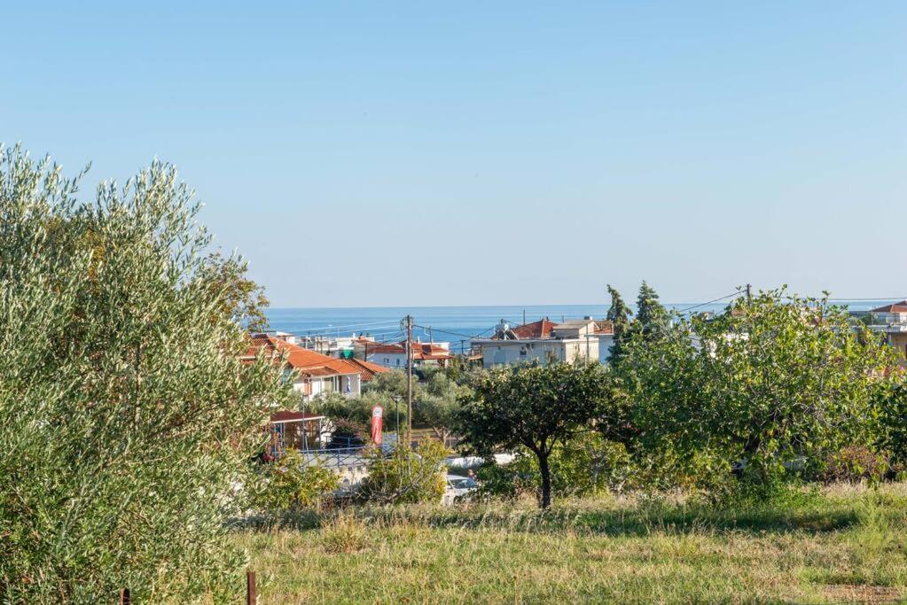 όμορφο παραθασυγκρότημα ενοικιαζόμενων καταλυμάτων ως ολόκληρος χώρος - Chrani, ελλάδαλάσσιο Chrani